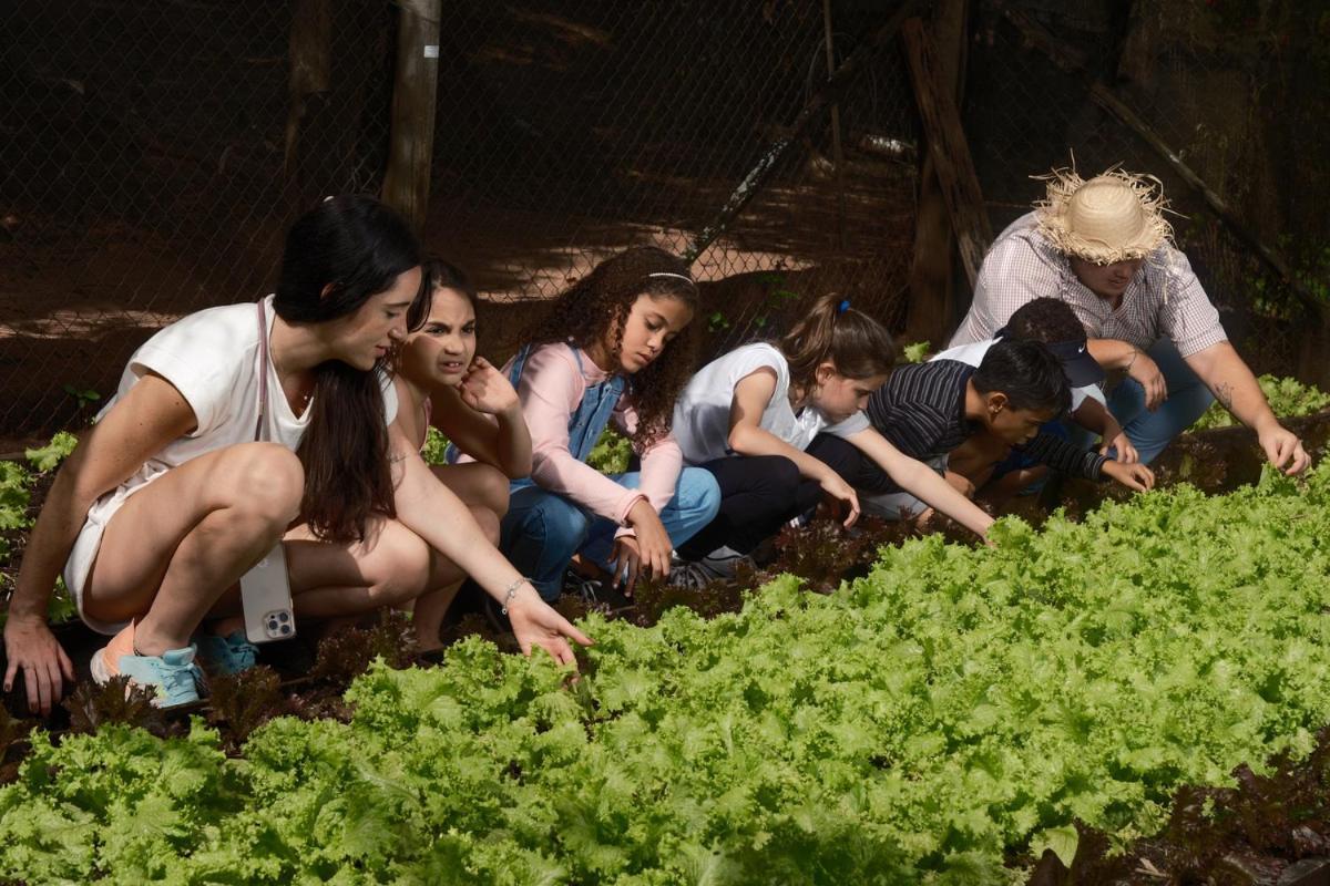 Brotas Eco Hotel Fazenda Dış mekan fotoğraf