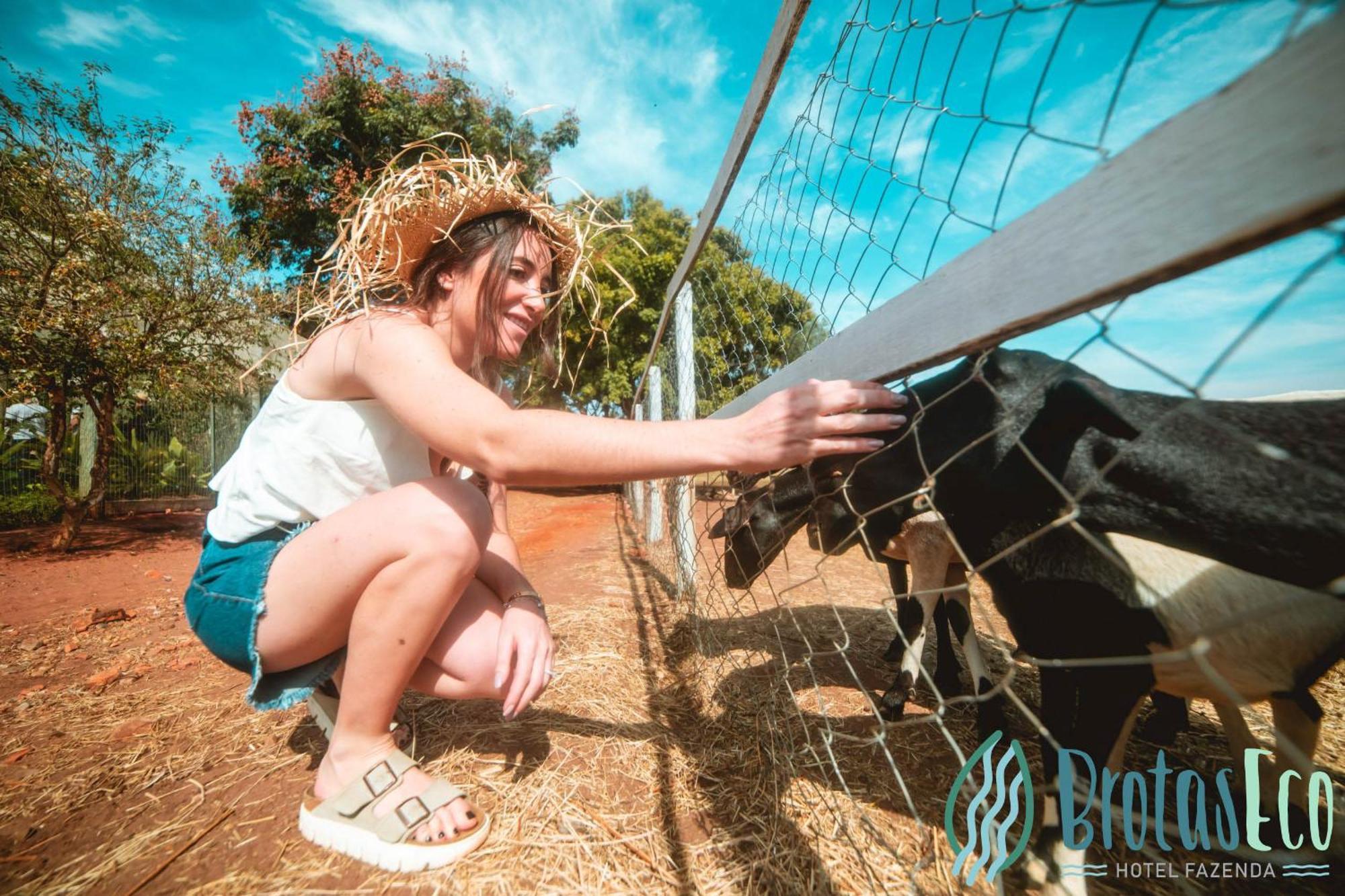 Brotas Eco Hotel Fazenda Dış mekan fotoğraf