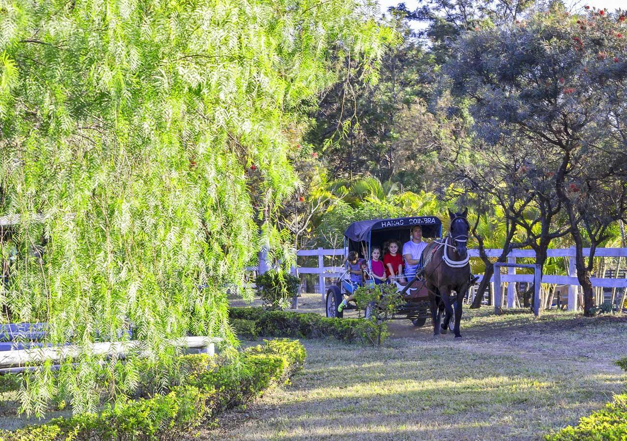 Brotas Eco Hotel Fazenda Dış mekan fotoğraf